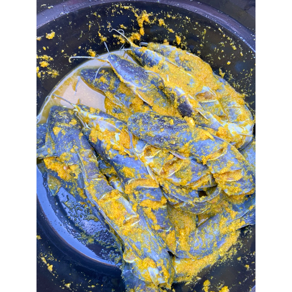 

Ikan Lele Marinasi Praktis