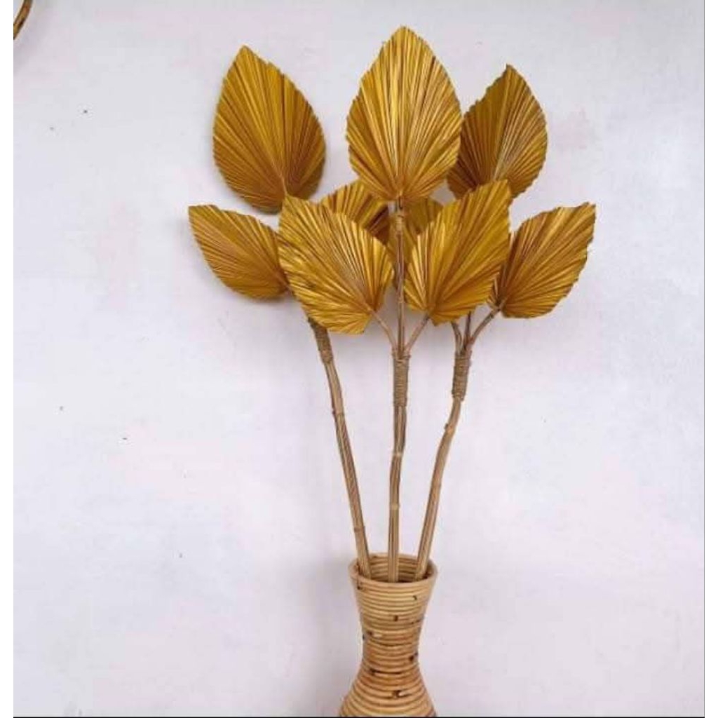 Dekorasi Daun/ Daun Palem / Palem Kering / Palem Rustic / Palem Trisula 1 tangkai isi 3 daun palem /