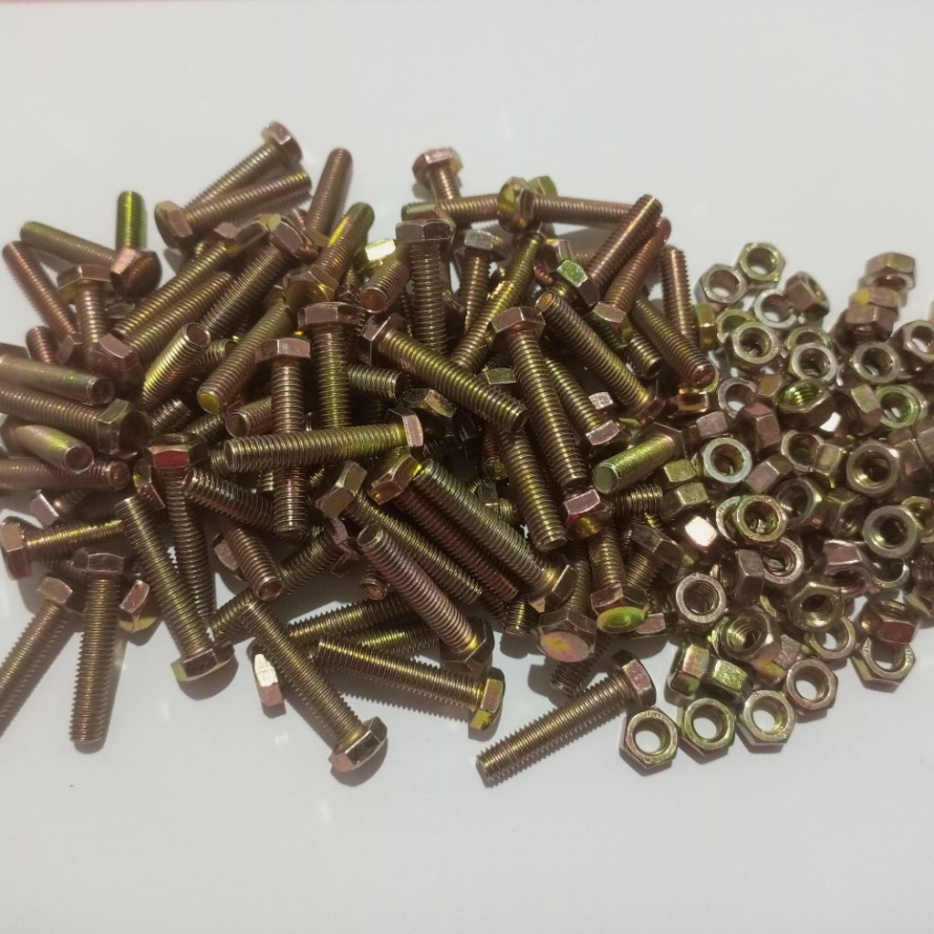 Paket 100 Pcs baut 10 / M6 x 3 cm  + Mur