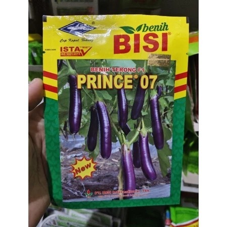 Benih terong PRINCE 07 10 gram terong ungu prince 07 dari benih bisi