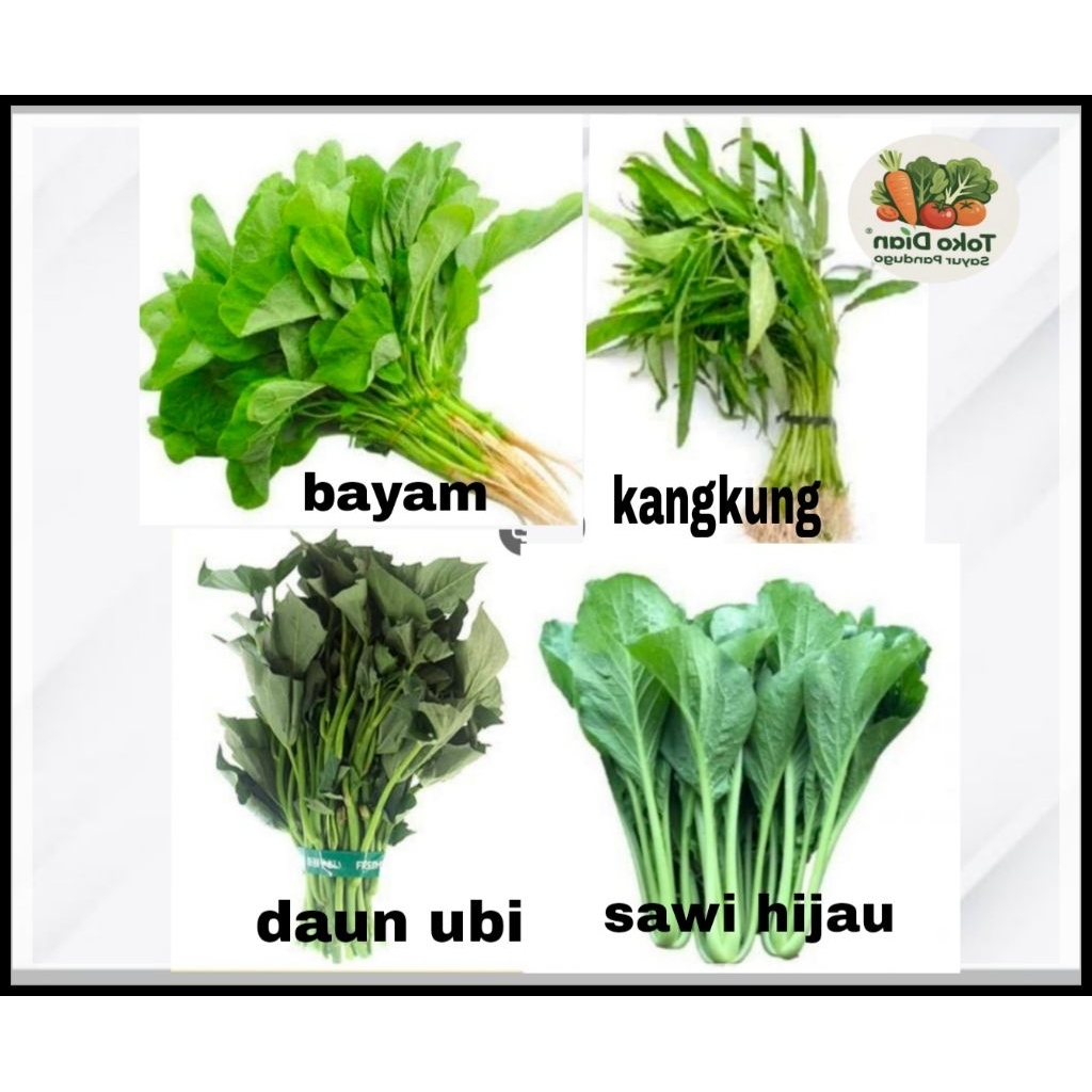

KIRIM BESOK sayuran segar/ bayam/kangkung/sawi hijau/daun ubi/ Diansayurpandug