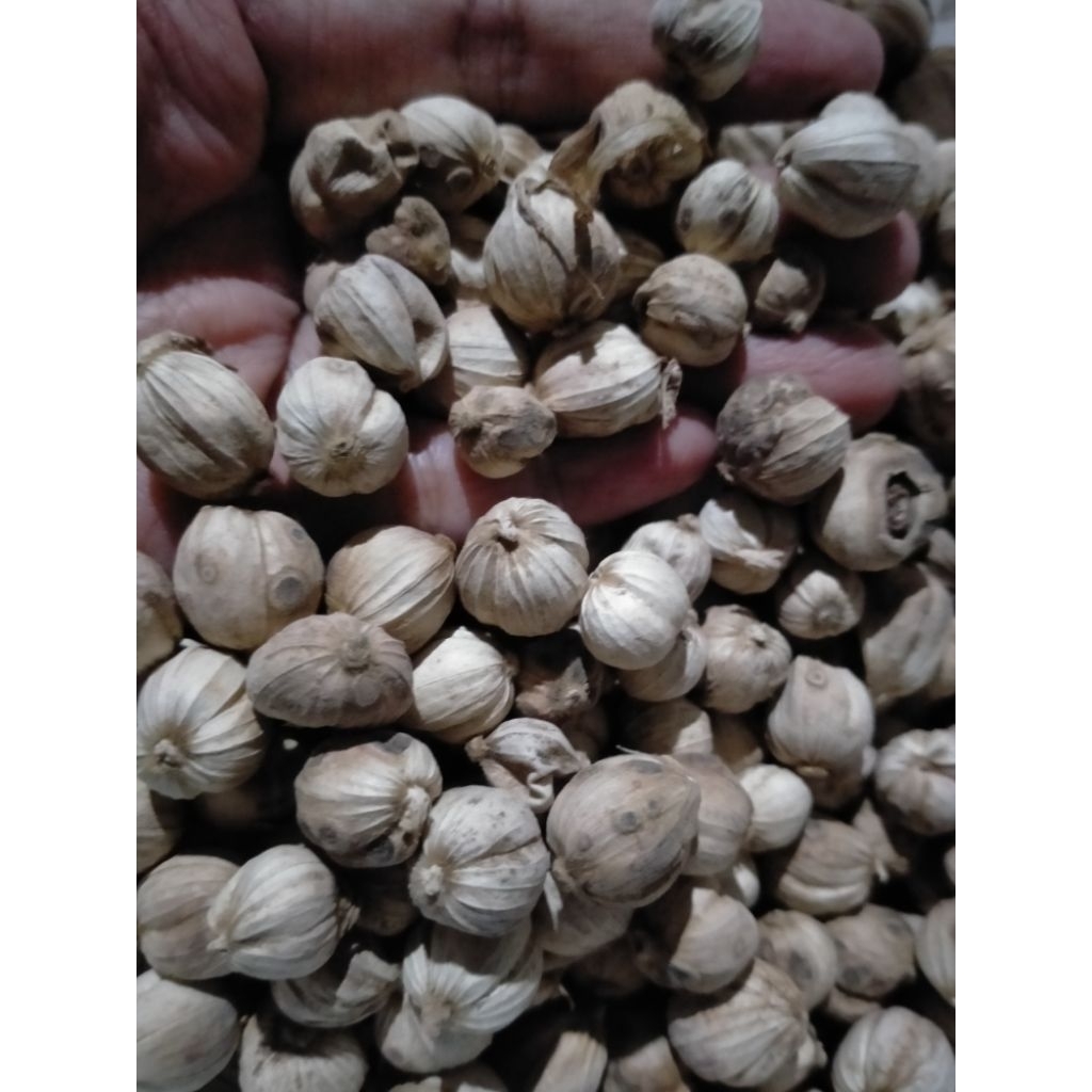 

Kapulaga Kering Utuh Super 1 kg, 0,5 kg