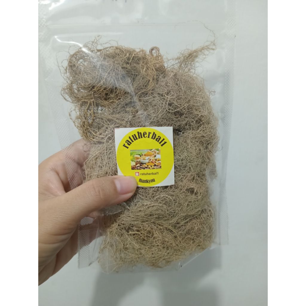 

READY LANGSUNG KIRIM KAYU ANGIN KERING ORGANIK ASLI HUTAN AKAR ANGIN