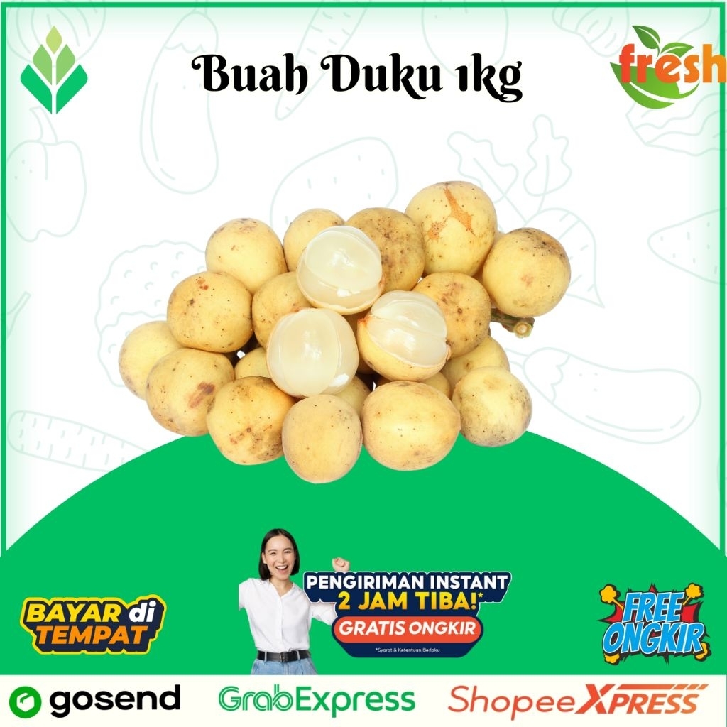 

Dukuh Palembang Grade A garansi uang kembali jika duku asem atau busuk