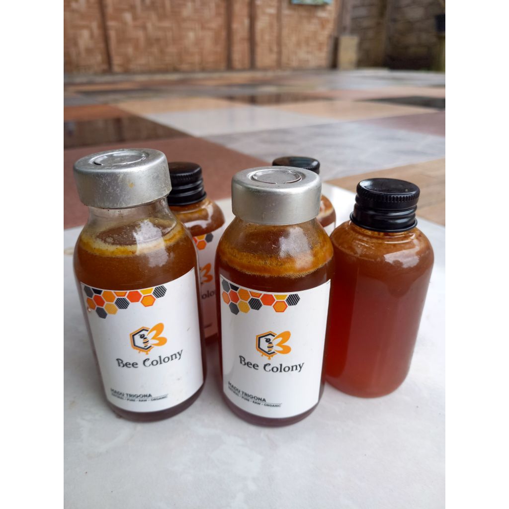 Madu Trigona Asli