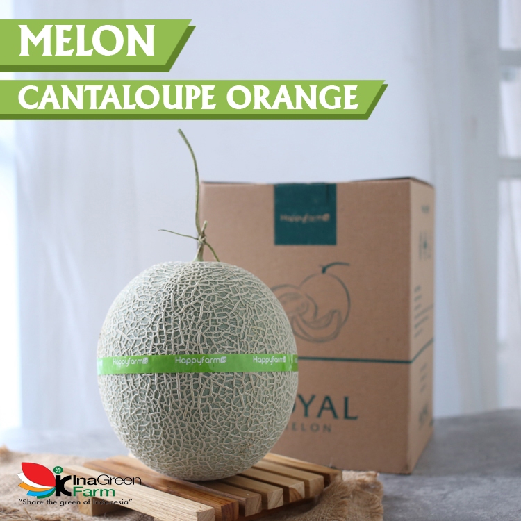 

Inagreen Farm Bandung Buah Rock Melon / Cantaloupe Orange Manis