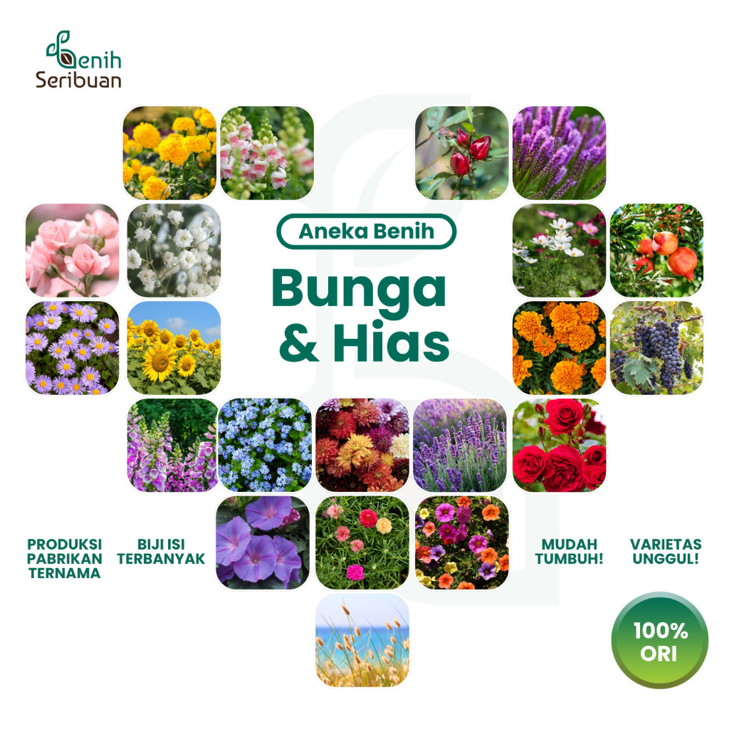 Benih Seribuan - Aneka Benih Bunga Hias Taman