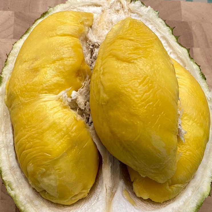 

Durian Musang King Premium Nitro 1kg – Fresh Import Malaysia
