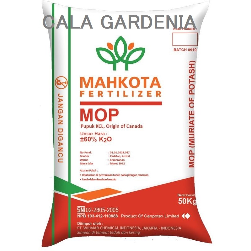 KCL MAHKOTA MOP ORIGINAL CANADA 100 GRAM PUPUK KCL MOP MAHKOTA ORIGINAL KEMASA REPACK