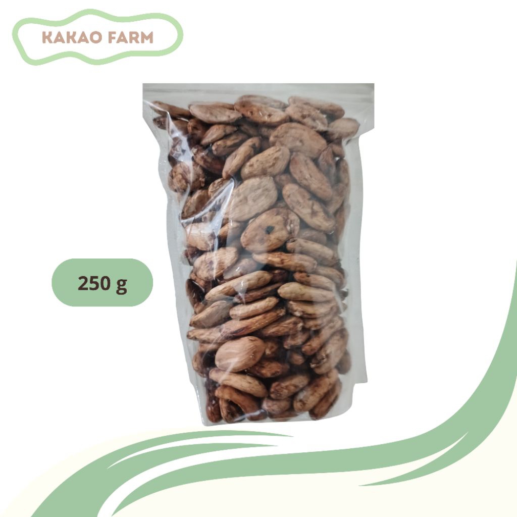 

biji kakao kering pilihan kualitas premium grade A siap untuk diolah ataupun buat bahan penelitian