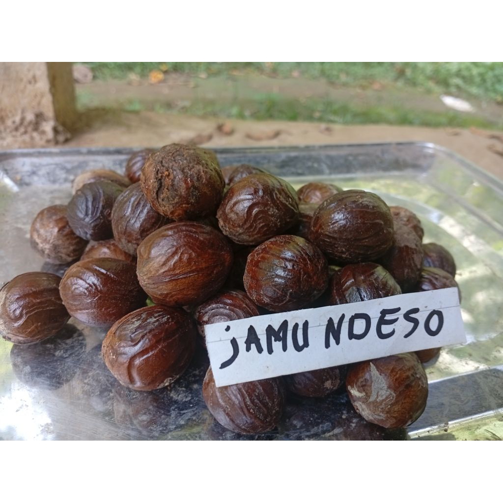 

BUAH PALA KERING ASLI PETANI - 100% Alami, Segar & Wangi Khas