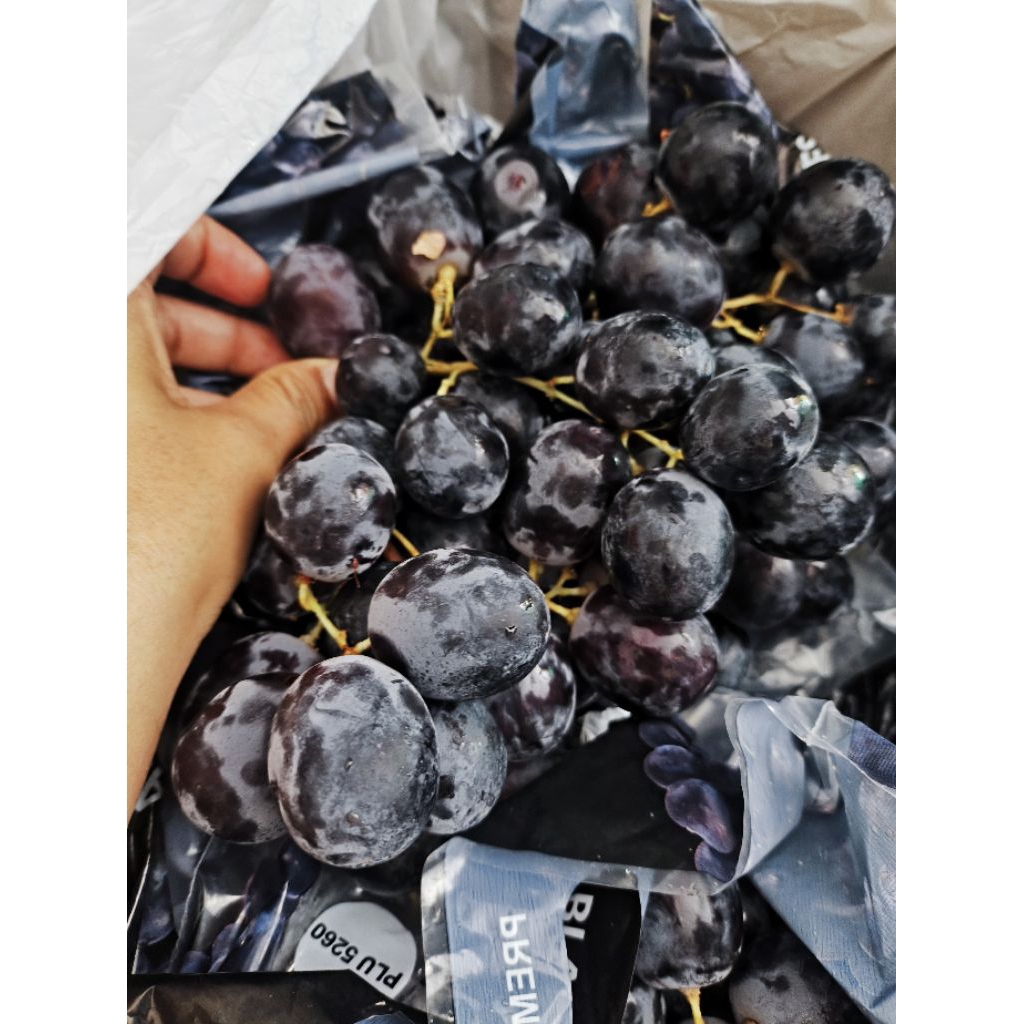 

Anggur Autumn Premium - Manis, Renyah, dan Segar!