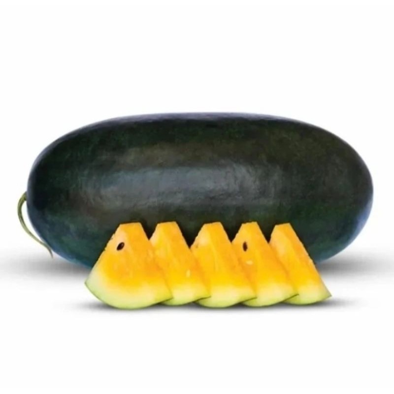 SEMANGKA KUNING HIBRIDA SUPER MANIS 1 BIJI BENIH SEMANGKA KUNING HIBRIDA BIBIT SEMANGKA KUNING SUPER