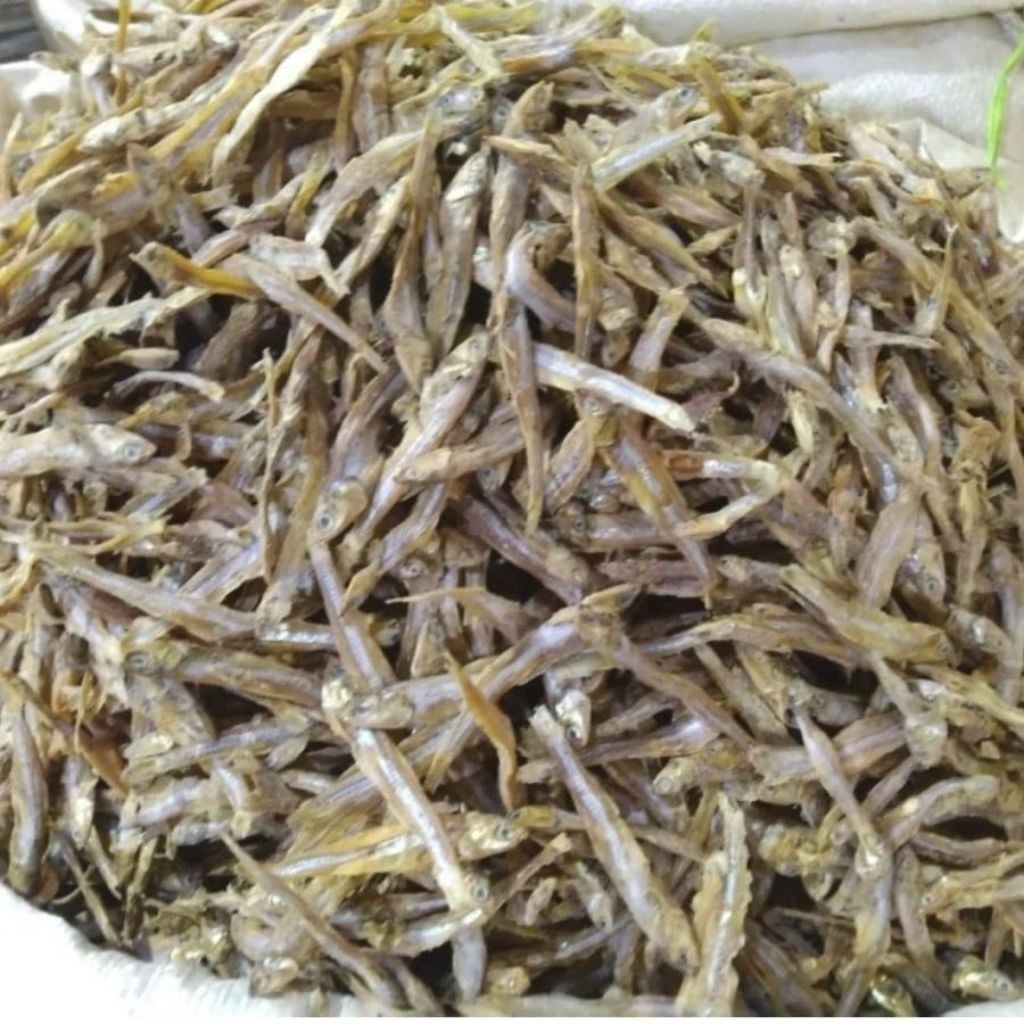 

KODE 2; IKAN ASIN BULU BEBEK 100/250GRM