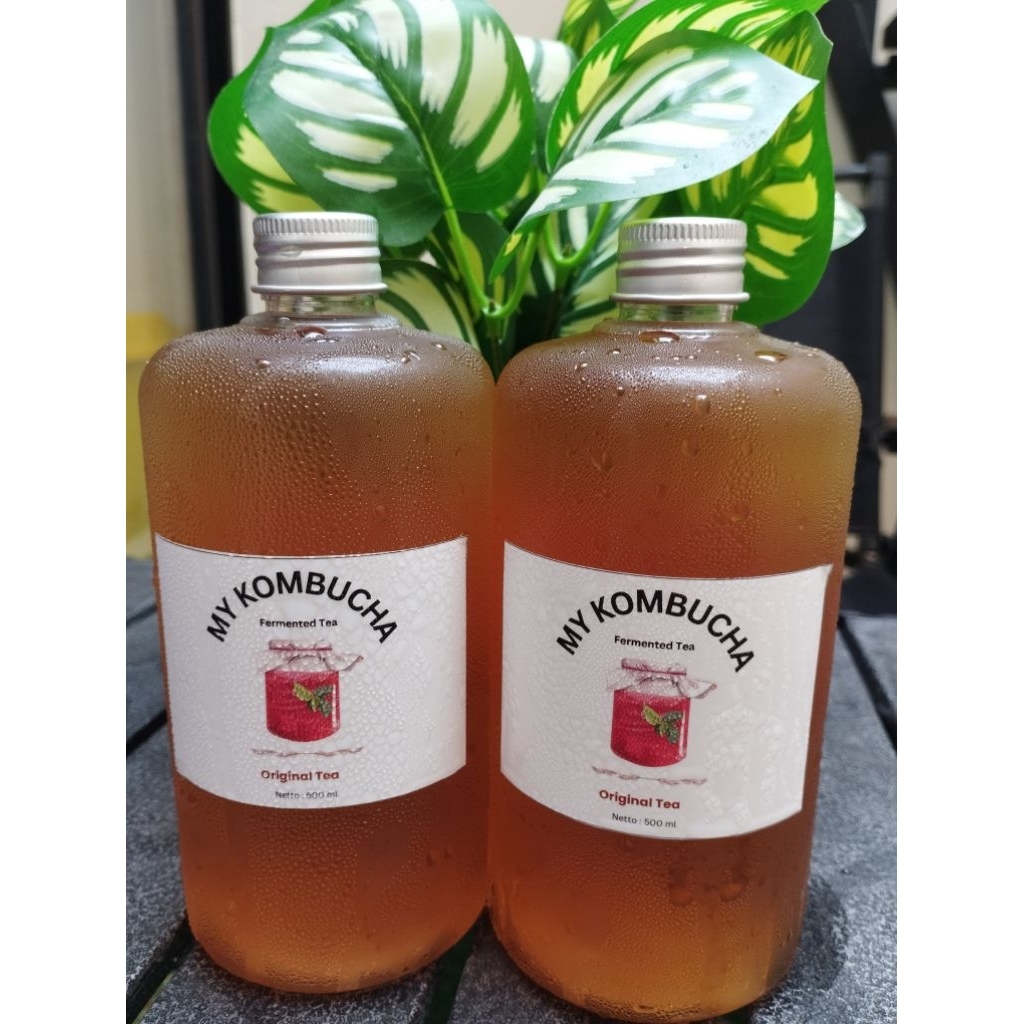 

My Kombucha Original