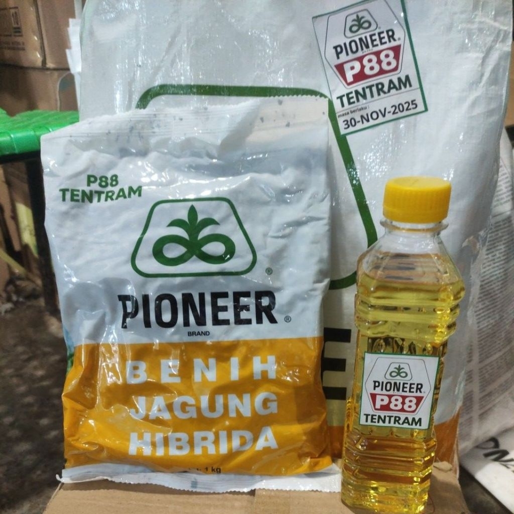 

bibit jagung PIONEER P88 TENTRAM 1KG