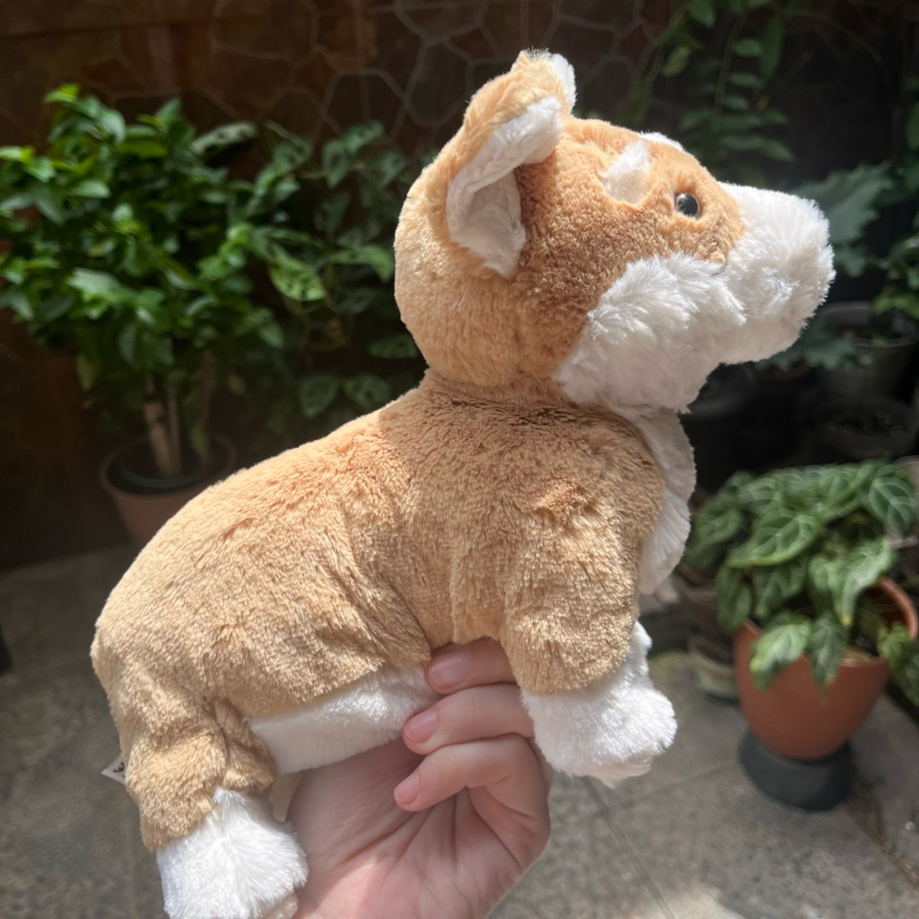 JELLYCAT BETTY CORGI — original jellycat dog puppy plushie boneka anjing