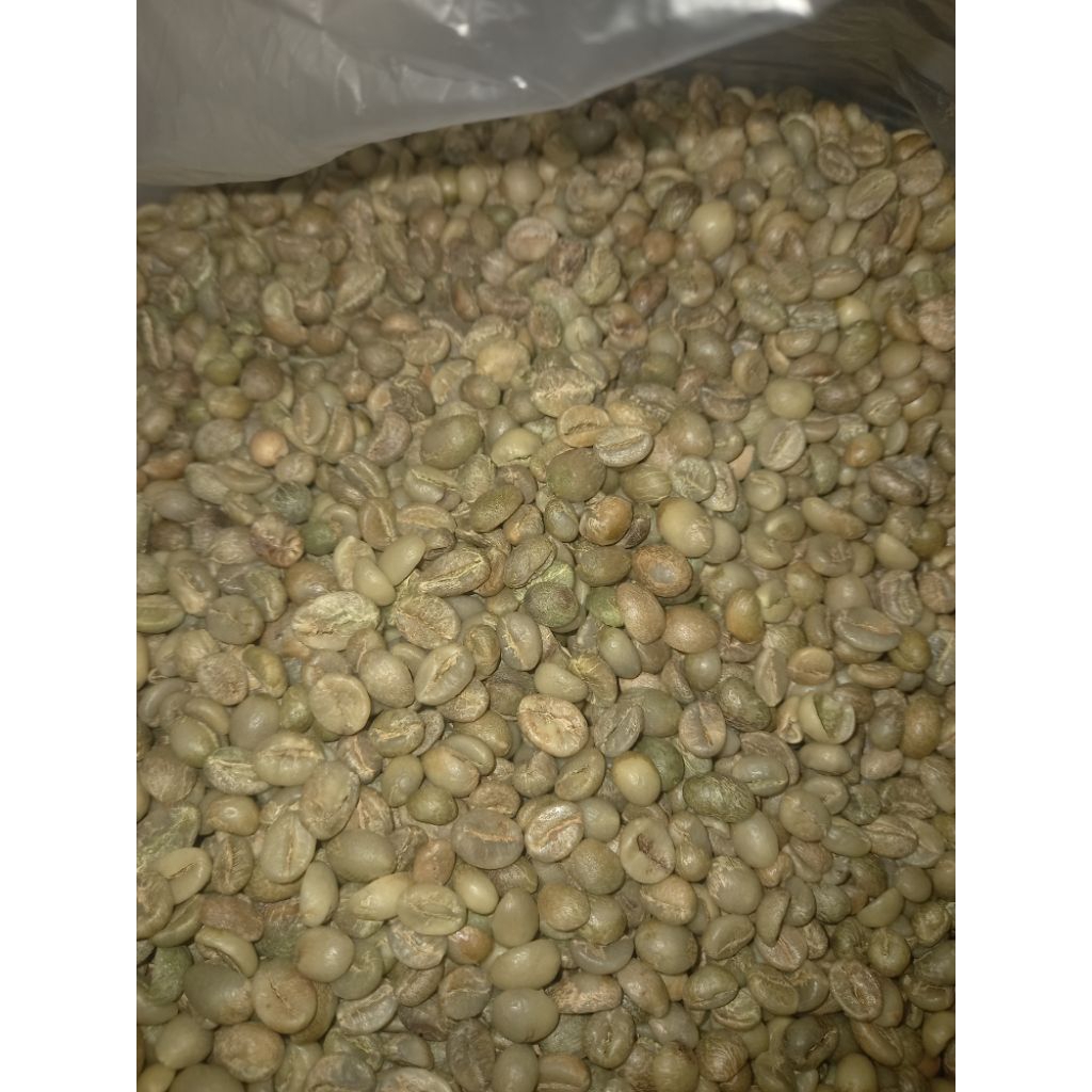 

PROMO MURAH,PAKET GROSIR 5KG/10kg BIJI KOPI ROBUSTA ASALAN BLITAR(NON SORTIR)