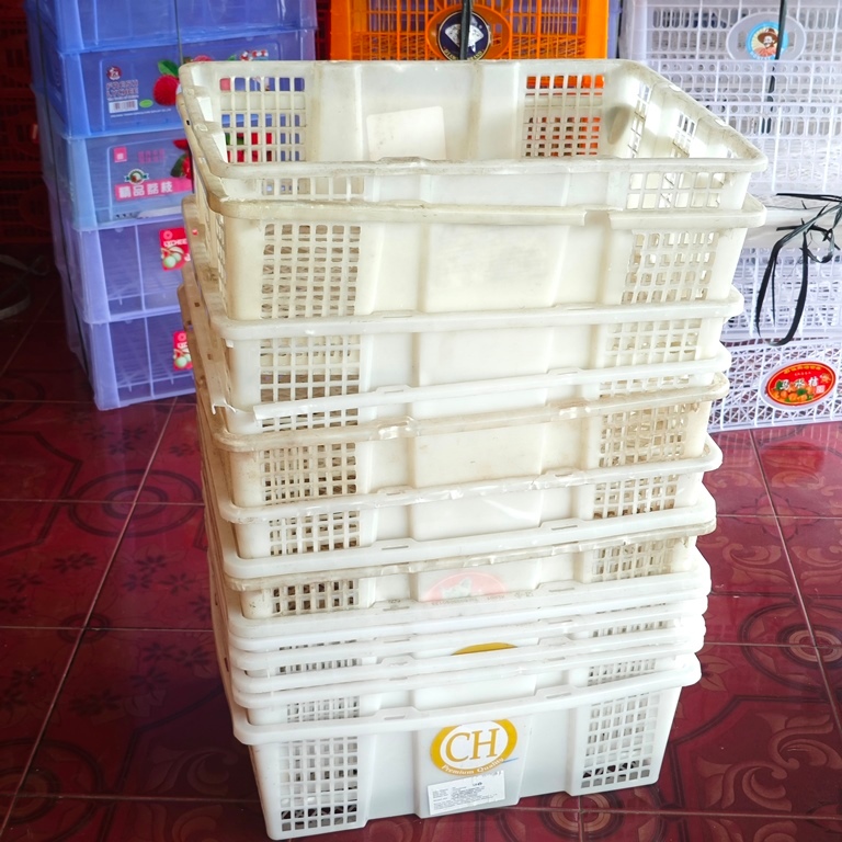 TERMURAH KERANJANG BEKAS BUAH KELENGKENG putren motor putrenmotor ter murah harga kulakan