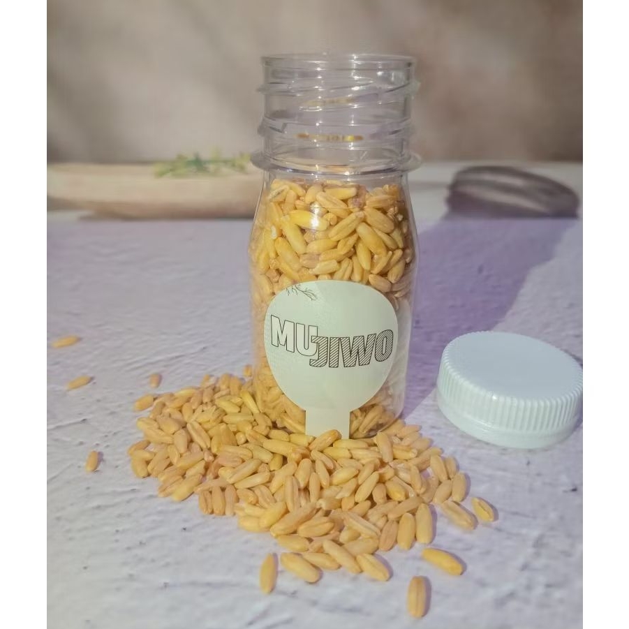 

HAVER SEED MUJIWO 50gr PREMIUM QUALITY