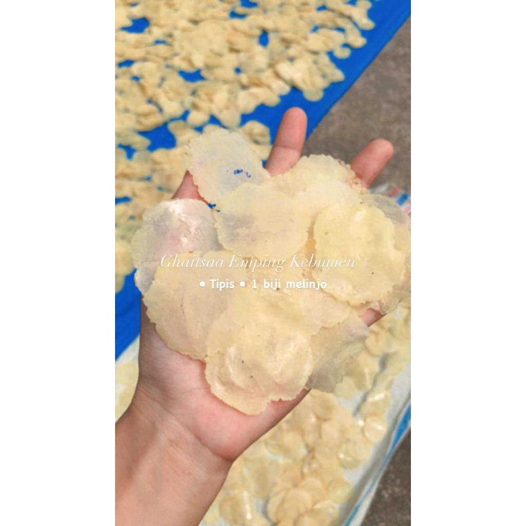 

EMPING MELINJO KECIL EMPING AMBAL ASLI KEBUMEN MENTAH EMPING BELINJO KERIPIK KERUPUK CEMILAN EMPING KECIL EMPING TIPIS EMPING BESAR EMPING TANGGUNG EMPING MENTAH EMPING MURAH EMPING SUPER EXTRA KERING