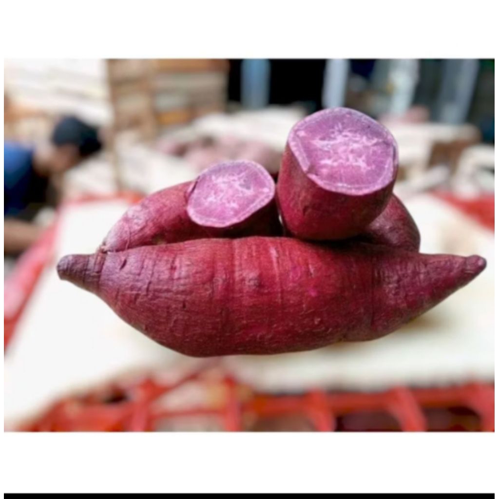 

ubi ungu mentahan 500gr 1kg 2kg