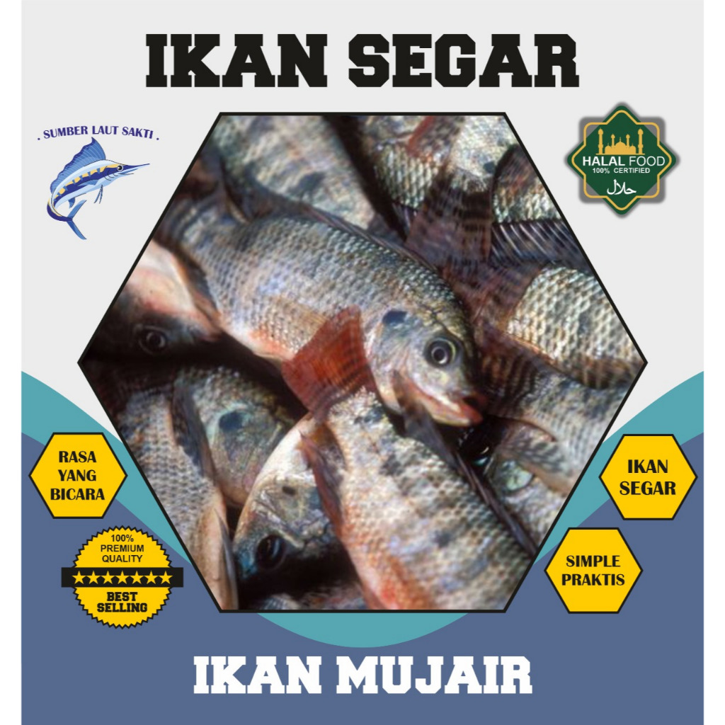 

Ikan Mujaer Nila Segar - Ikan Laut Fresh 1 Kg