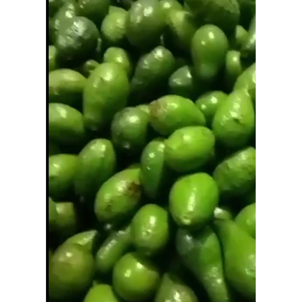 

Alpukat Mentega Asli 1kg redi