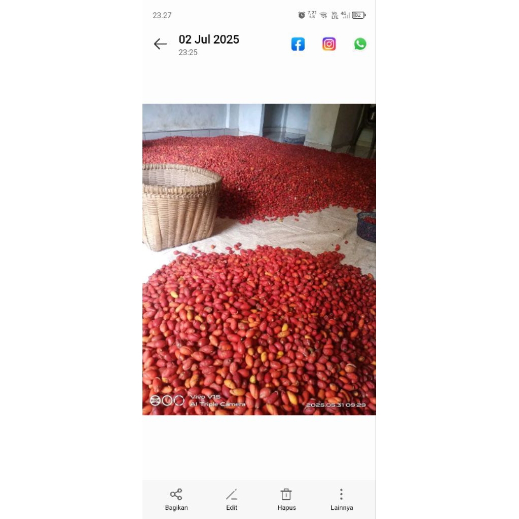 

kulit.tangkil.melinjo.freshh