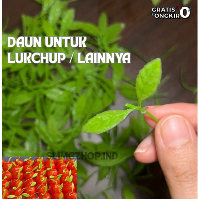 Hiasan daun untuk kue lukchup / kue tok/ kue lainnya
