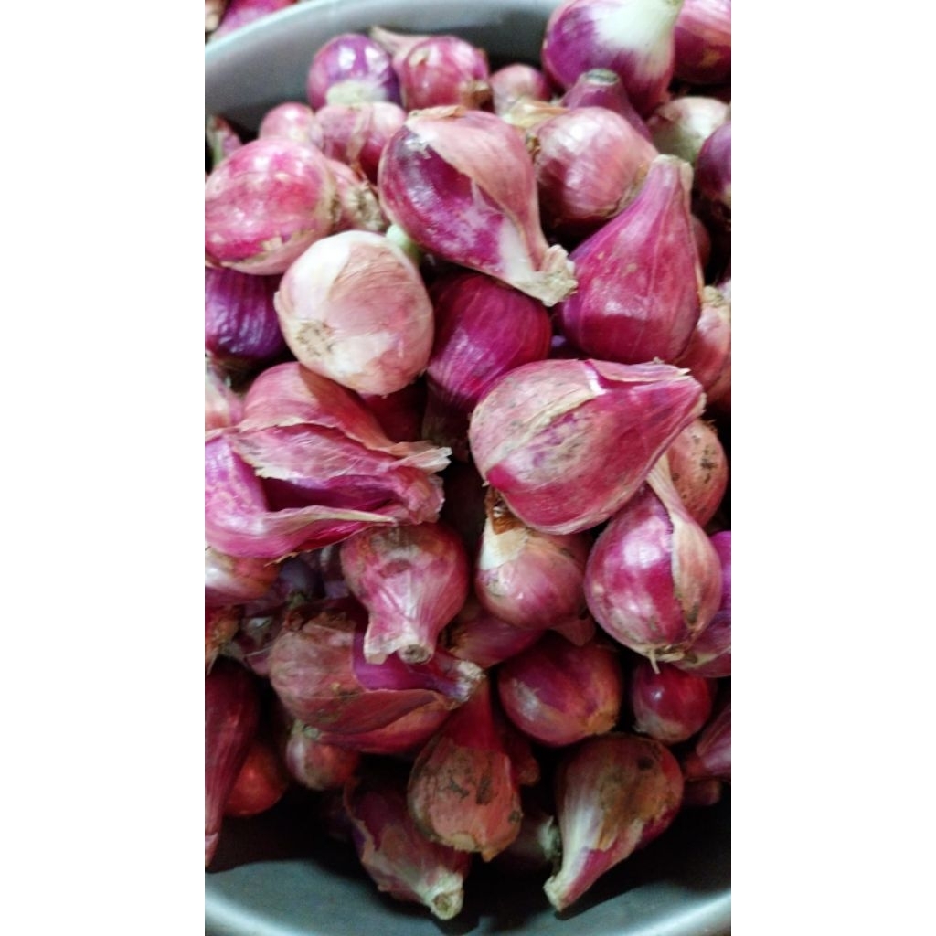 

bawang merah brebes premium besar 1kg