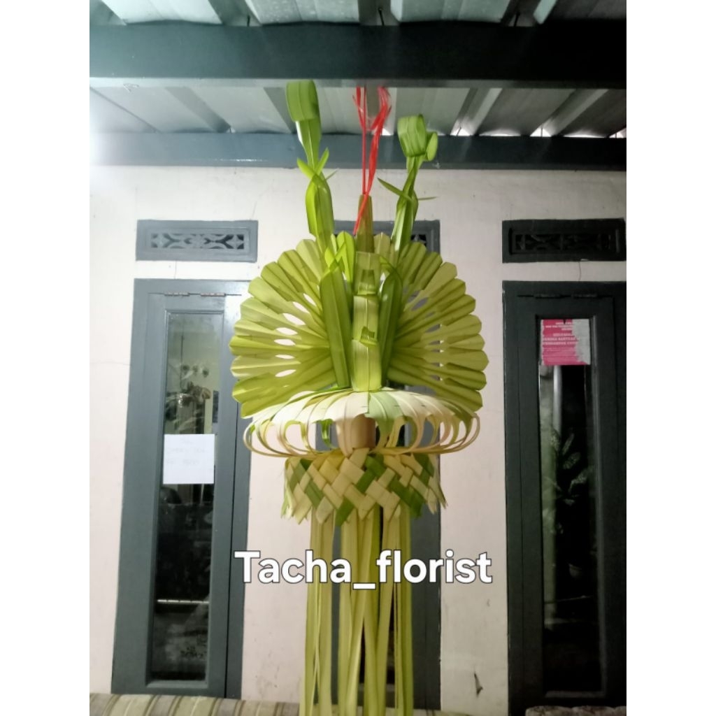 Janur kuning pernikahan/Khitanan Asli segar CIMAHI BDG PADALARANG