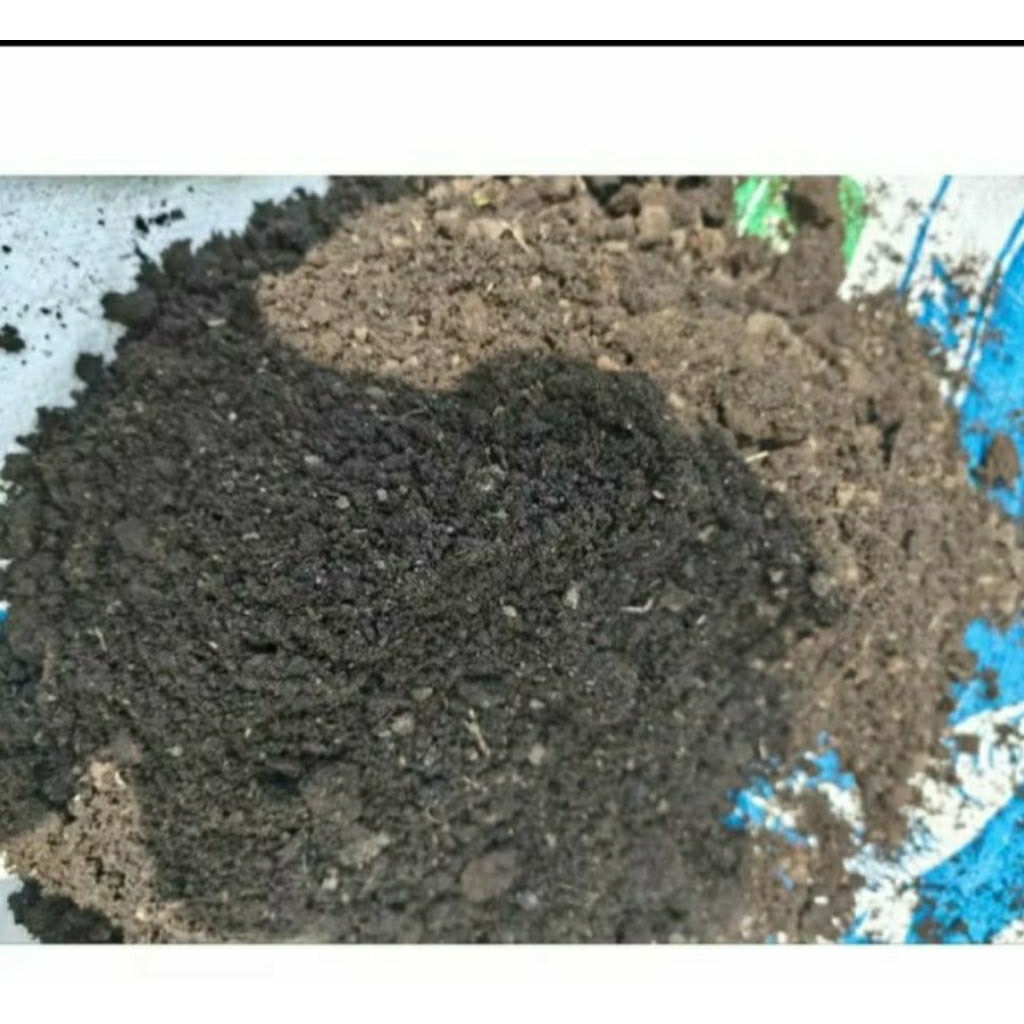 blotong-ampas tebu-media-limbah gula tanah blotong
