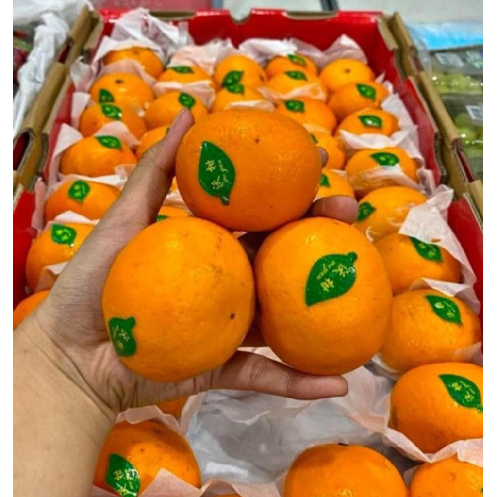 

jeruk wakom netto 1000gr