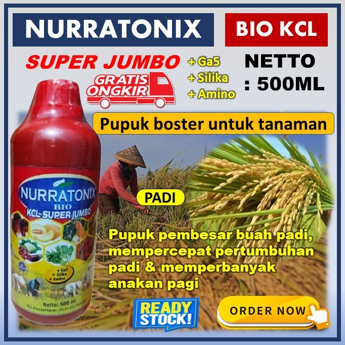 Pupuk Boster Tanaman Padi Pupuk Pelebat Tanaman Padi Ampuh Pupuk Anti Kerdil Buah Padi NURRATONIX BI