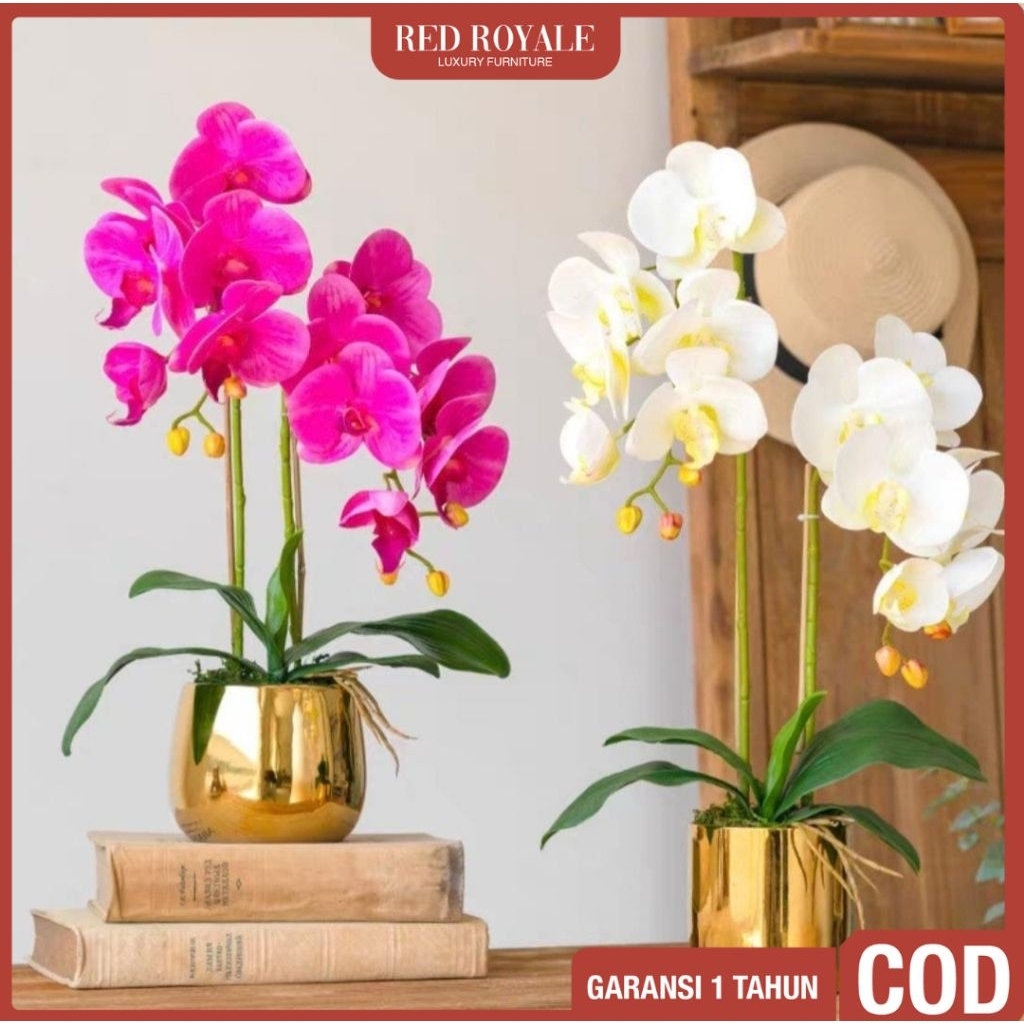 bunga rangkai anggrek bunga sudut ruangan dekorasi hiasan aksesoris ruang tamu