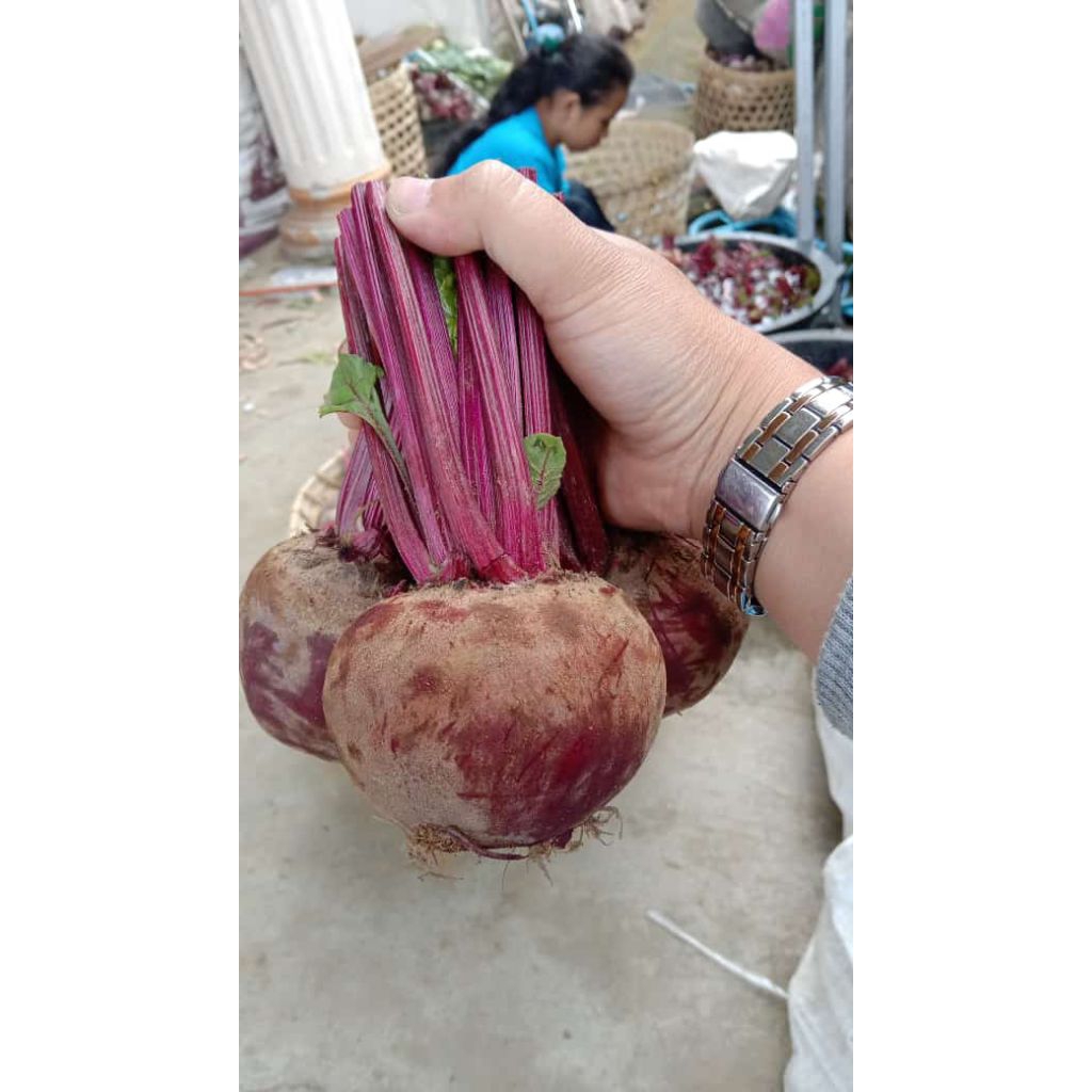 

buah beet penambah hb