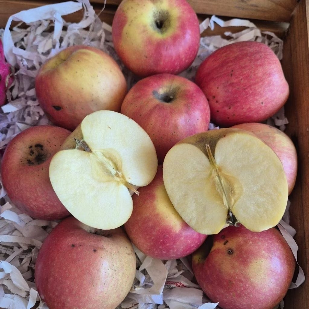 

Apel Fuji fresh 1kg. Isi rata-rata 5-6Buah