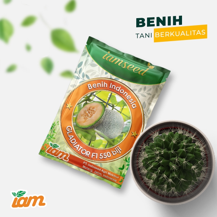 

Gladiator F1 550biji | Melon orange type glamour