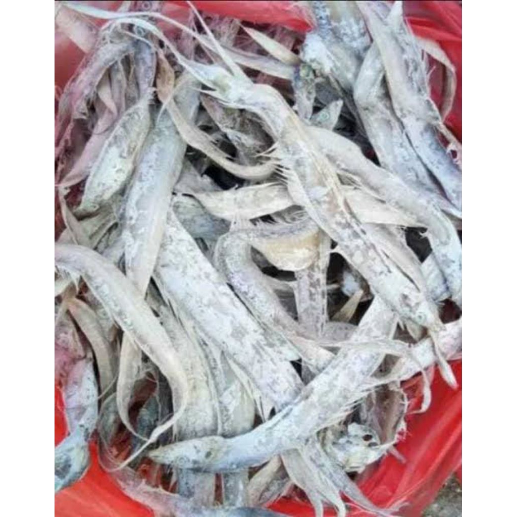 

Ikan Layur Gereh Asin Kering kwalitas Premium Super 100% Halal