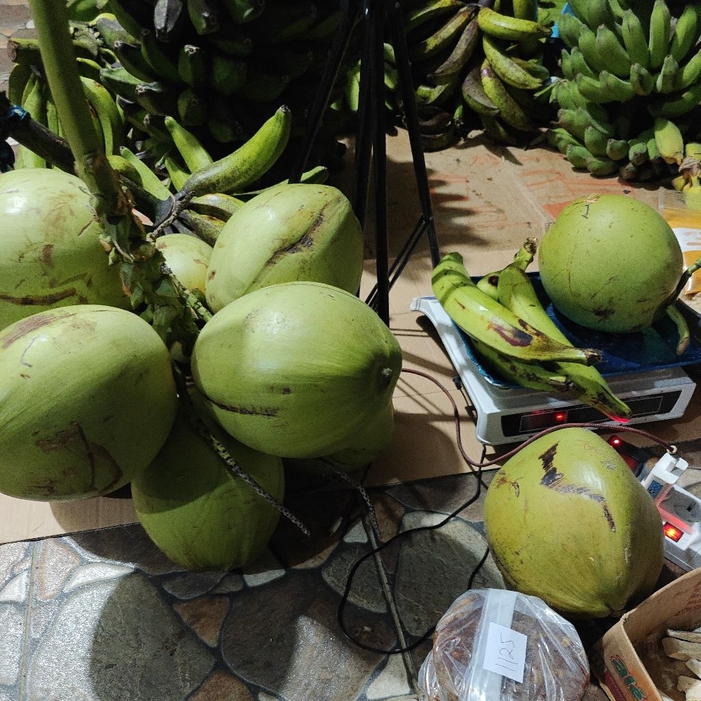 

Kelapa Tua Segar Pilihan - Siap Olah