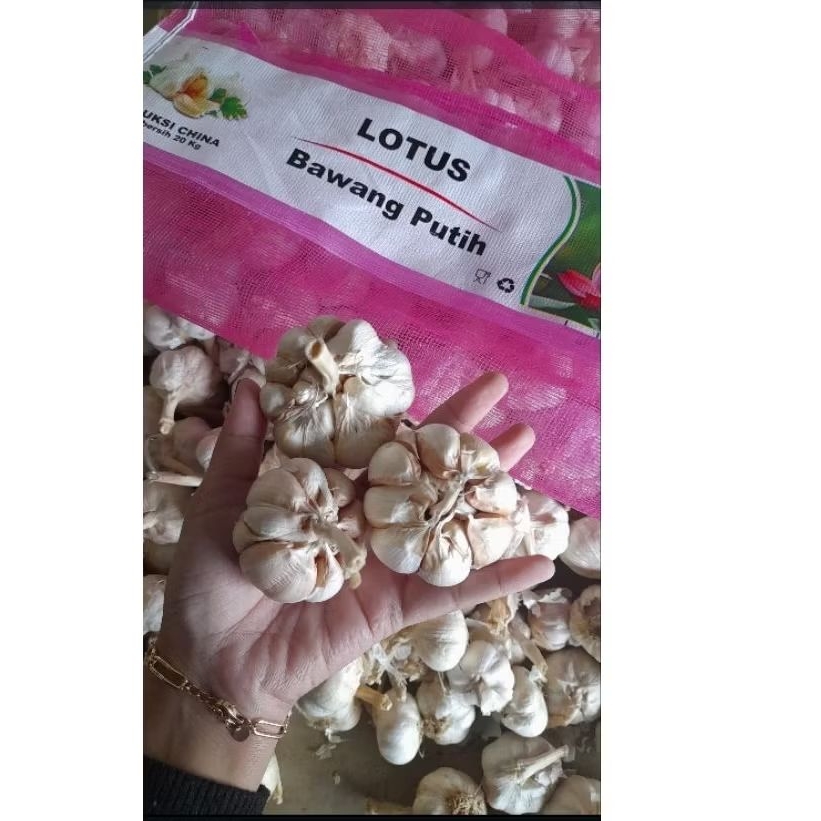 

Bawang Putih Sinco