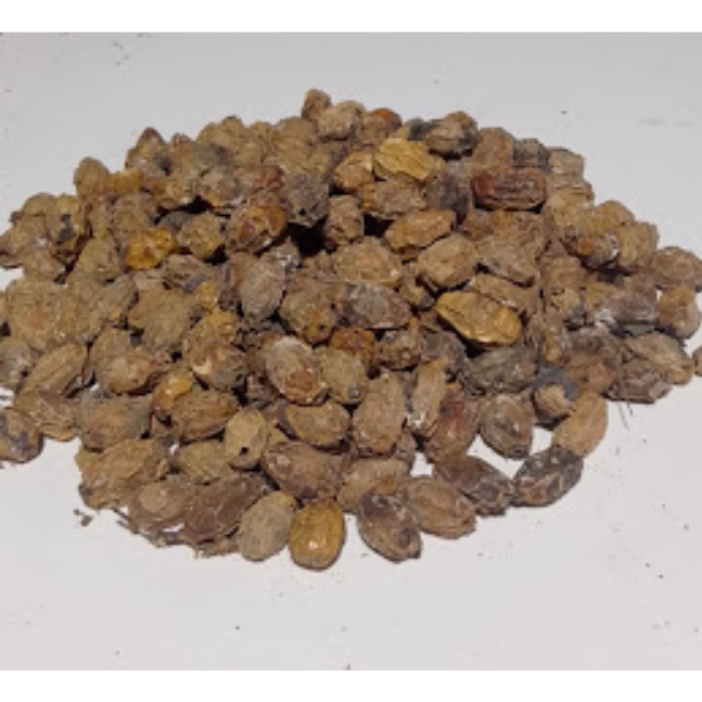 

500 gram Buah Mimba Kering / 250 gram Biji Mindi Kering Alami