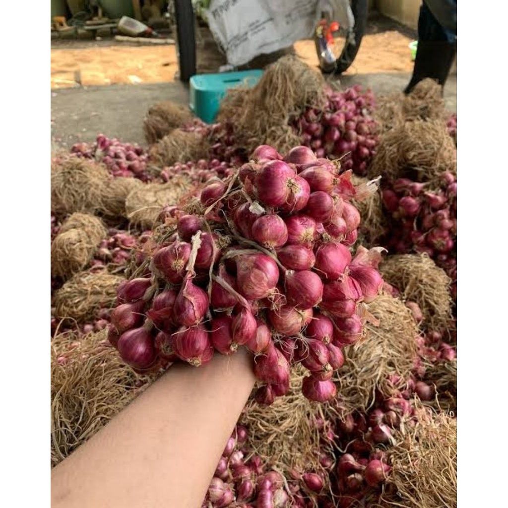 

BAWANG MERAH PROBOLINGGO_1KG jenis super ukuran tamggung campur besar