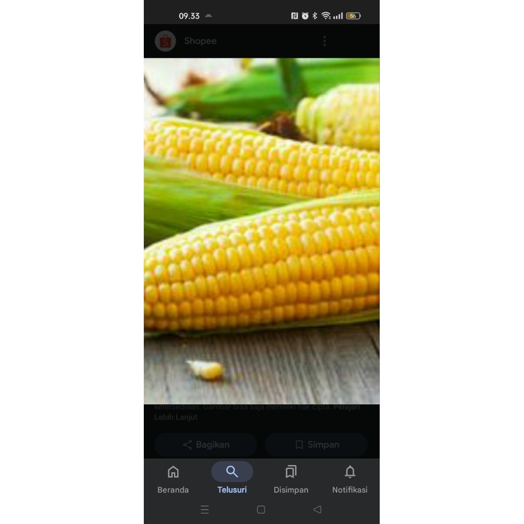 

jagung manis sekilo gram