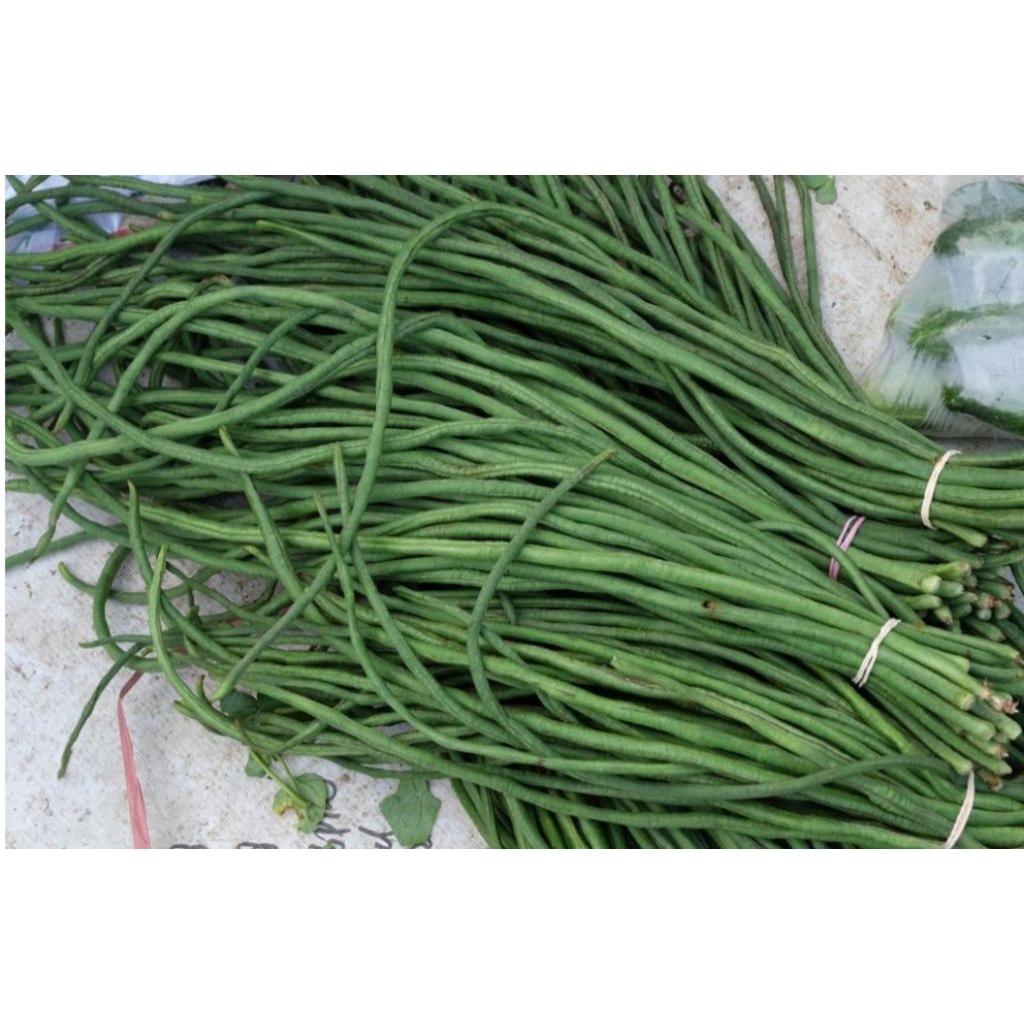 

kacang panjang segar 500 gram bppn