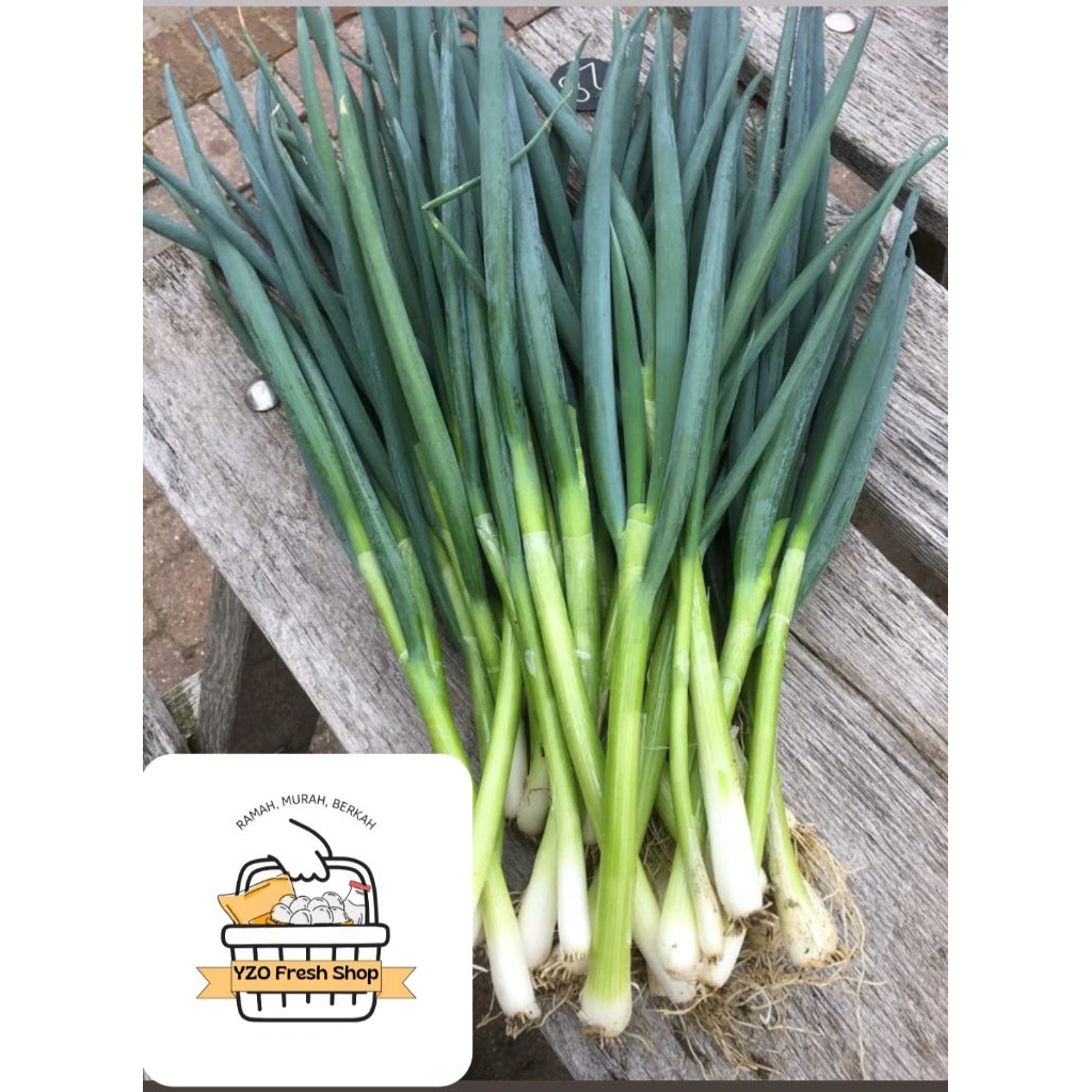 

Daun Bawang / Daun Bawang Hijau / 100gr
