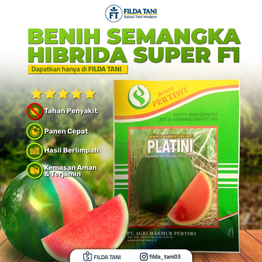 

Benih Semangka Platini Pertiwi 20 Gram