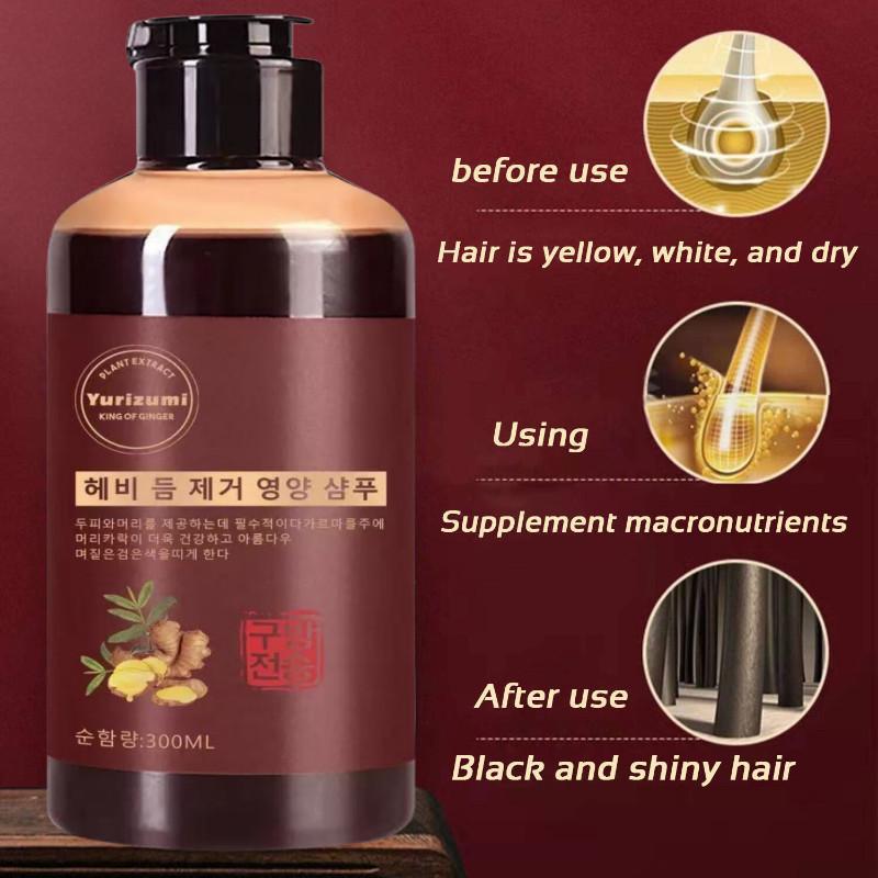 YURIZUSHAMPO UBAN SAMPO UBAN PENGHITAM RAMBUT ATASI UBAN Perawatan Shampoo