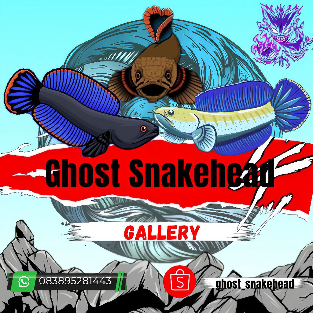 

cairan pembersih kaca andraoo